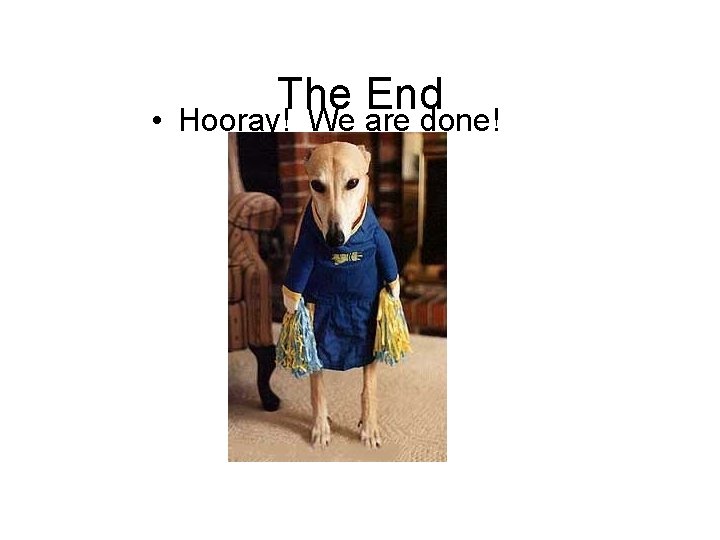  • The End Hooray! We are done! 