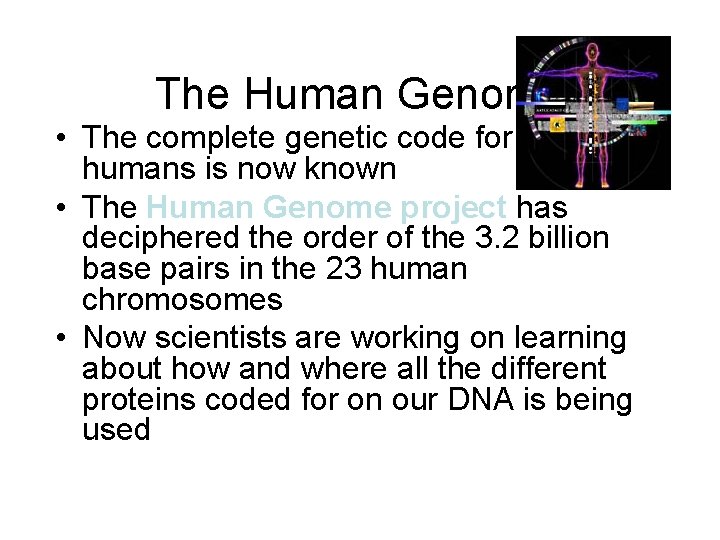 The Human Genome • The complete genetic code for humans is now known •