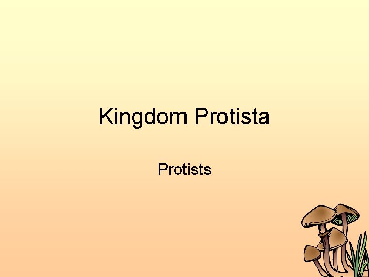 Kingdom Protista Protists 