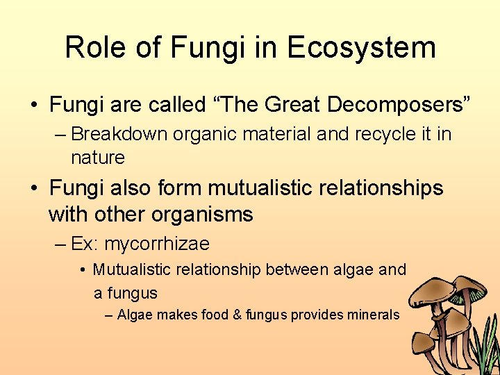 Role of Fungi in Ecosystem • Fungi are called “The Great Decomposers” – Breakdown