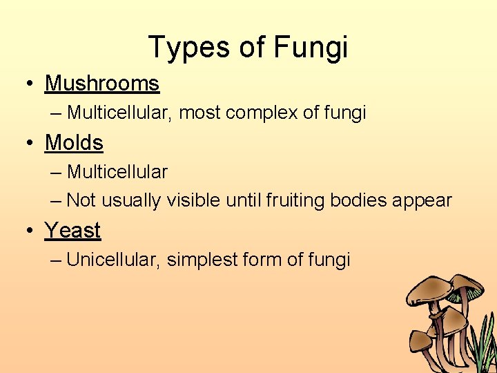 Types of Fungi • Mushrooms – Multicellular, most complex of fungi • Molds –