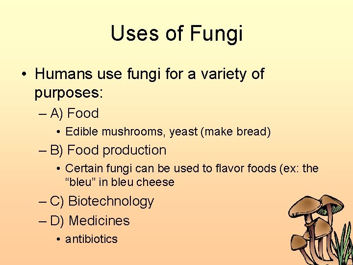 Uses of Fungi • Humans use fungi for a variety of purposes: – A)