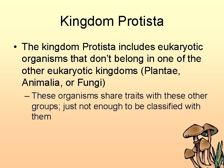 Kingdom Protista • The kingdom Protista includes eukaryotic organisms that don’t belong in one