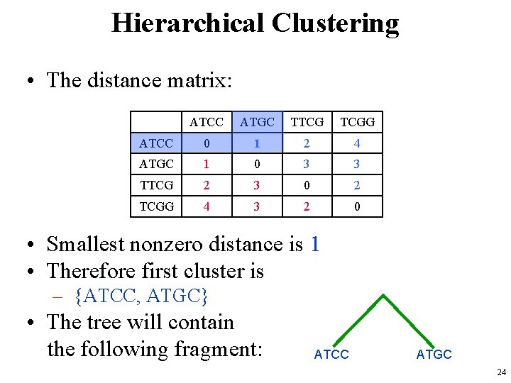 Hierarchical Clustering • The distance matrix: ATCC ATGC TTCG TCGG ATCC 0 1 2