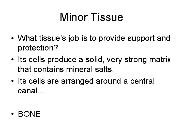 Minor Tissue • What tissue’s job is to provide support and protection? • Its