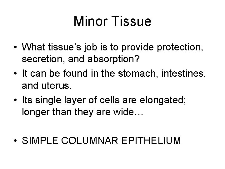 Minor Tissue • What tissue’s job is to provide protection, secretion, and absorption? •