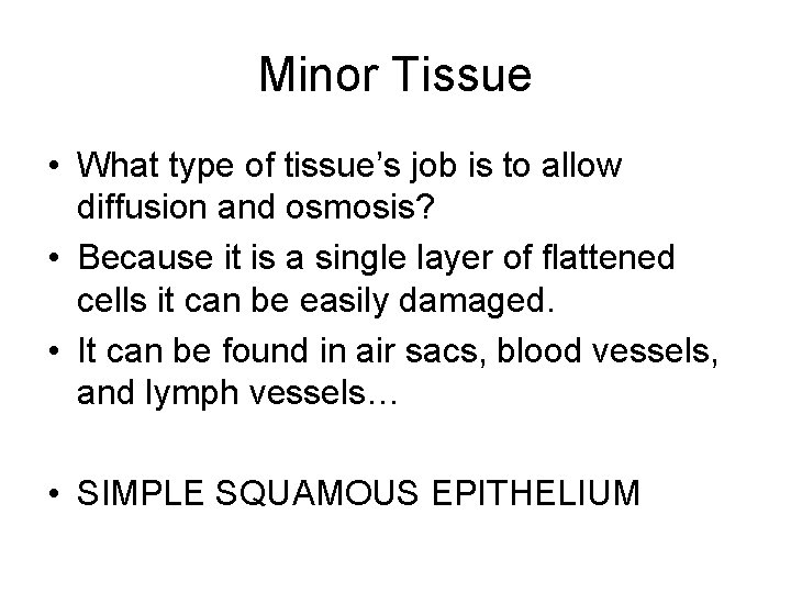 Minor Tissue • What type of tissue’s job is to allow diffusion and osmosis?