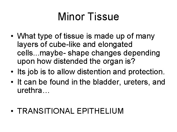 Minor Tissue • What type of tissue is made up of many layers of