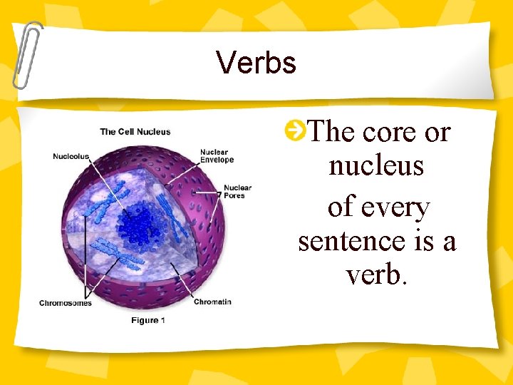 Verbs The core or nucleus of every sentence is a verb. 