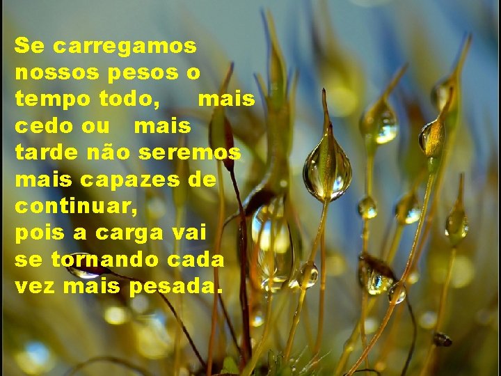 Se carregamos nossos pesos o tempo todo, mais cedo ou mais tarde não seremos