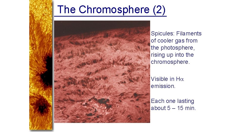 The Chromosphere (2) Spicules: Filaments of cooler gas from the photosphere, rising up into