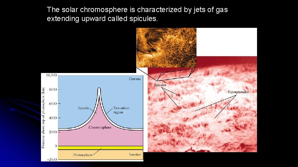 The solar chromosphere is characterized by jets of gas extending upward called spicules. 