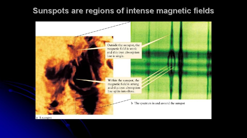 Sunspots are regions of intense magnetic fields 