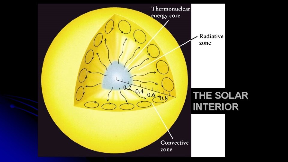 THE SOLAR INTERIOR 