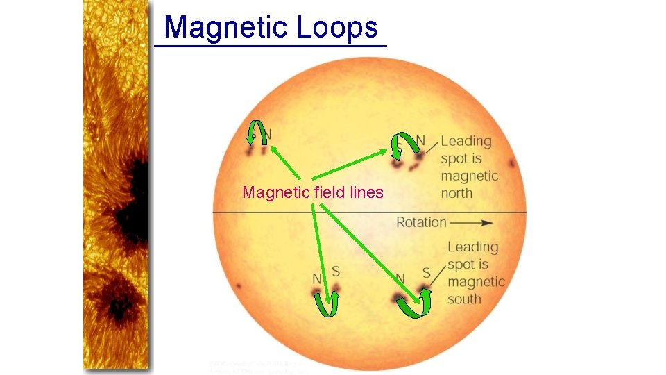 Magnetic Loops Magnetic field lines 