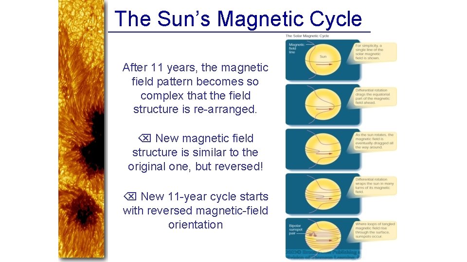 The Sun’s Magnetic Cycle After 11 years, the magnetic field pattern becomes so complex