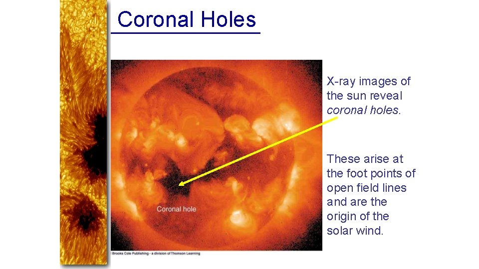 Coronal Holes X-ray images of the sun reveal coronal holes. These arise at the