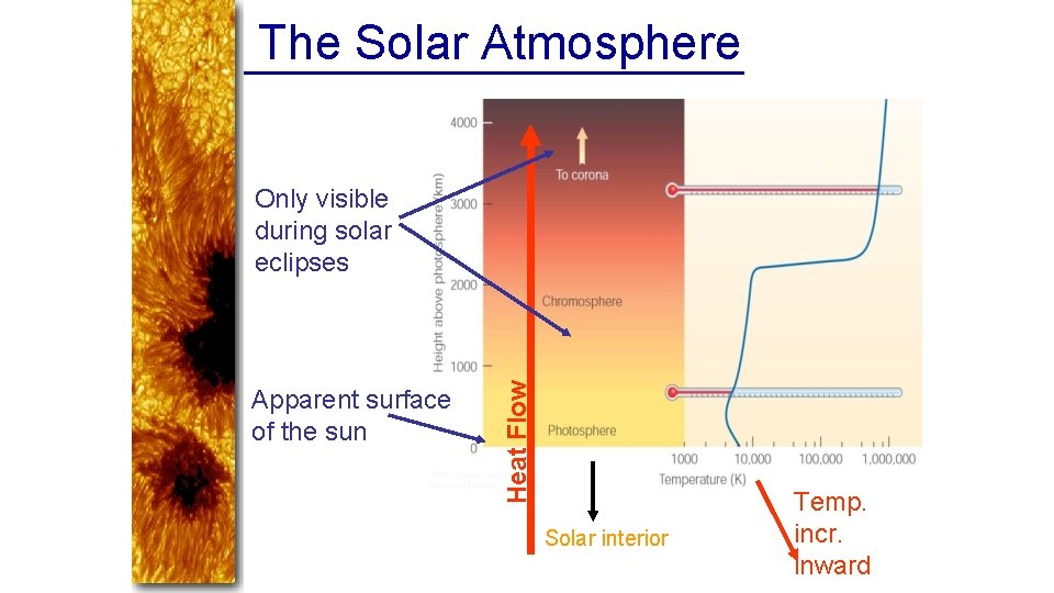 The Solar Atmosphere Apparent surface of the sun Heat Flow Only visible during solar