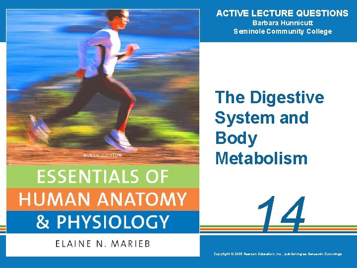 ACTIVE LECTURE QUESTIONS Barbara Hunnicutt Seminole Community College The Digestive System and Body Metabolism