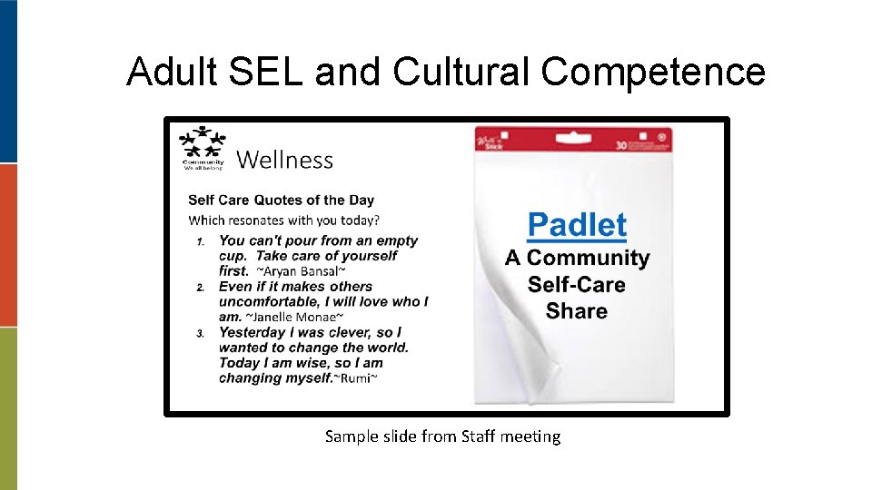 Adult SEL and Cultural Competence Sample slide from Staff meeting 