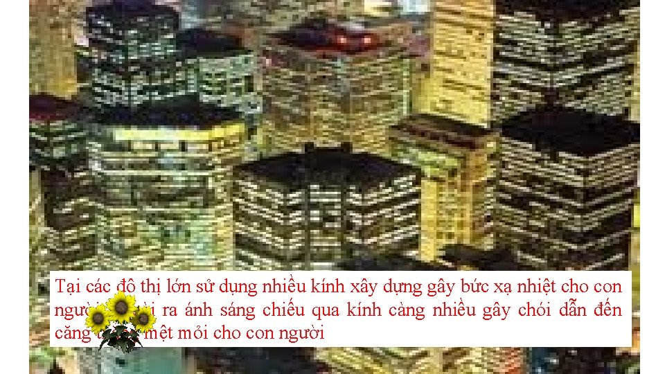 Tại các đô thị lớn sử dụng nhiều kính xây dựng gây bức xạ