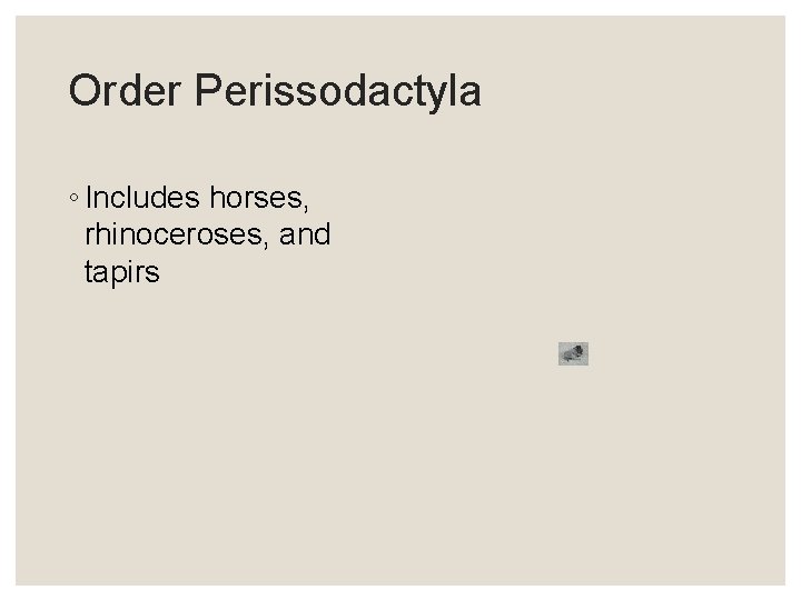 Order Perissodactyla ◦ Includes horses, rhinoceroses, and tapirs 