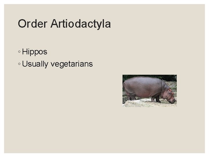 Order Artiodactyla ◦ Hippos ◦ Usually vegetarians 