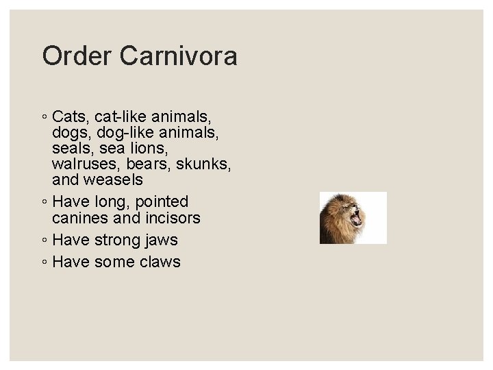 Order Carnivora ◦ Cats, cat-like animals, dog-like animals, sea lions, walruses, bears, skunks, and