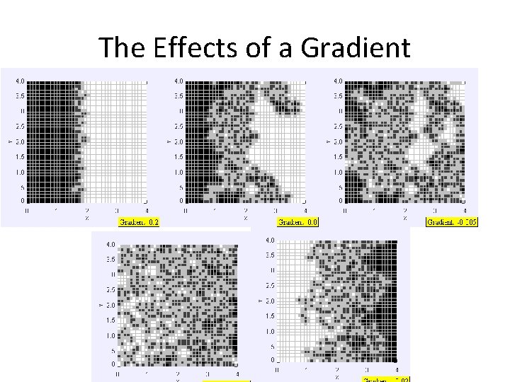 The Effects of a Gradient 