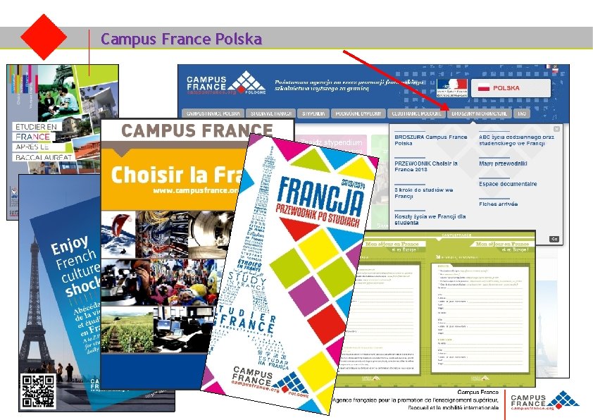 Campus France Polska 