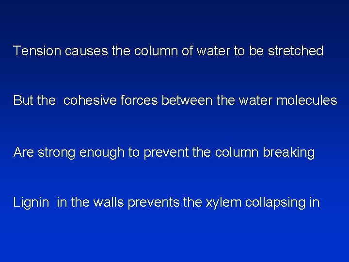 Tension causes the column of water to be stretched But the cohesive forces between