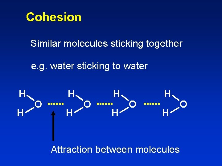 Cohesion Similar molecules sticking together e. g. water sticking to water H H O
