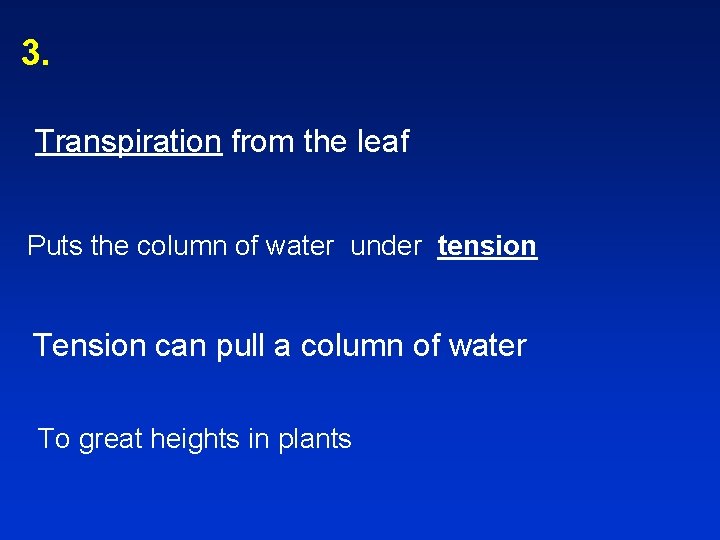 3. Transpiration from the leaf Puts the column of water under tension Tension can