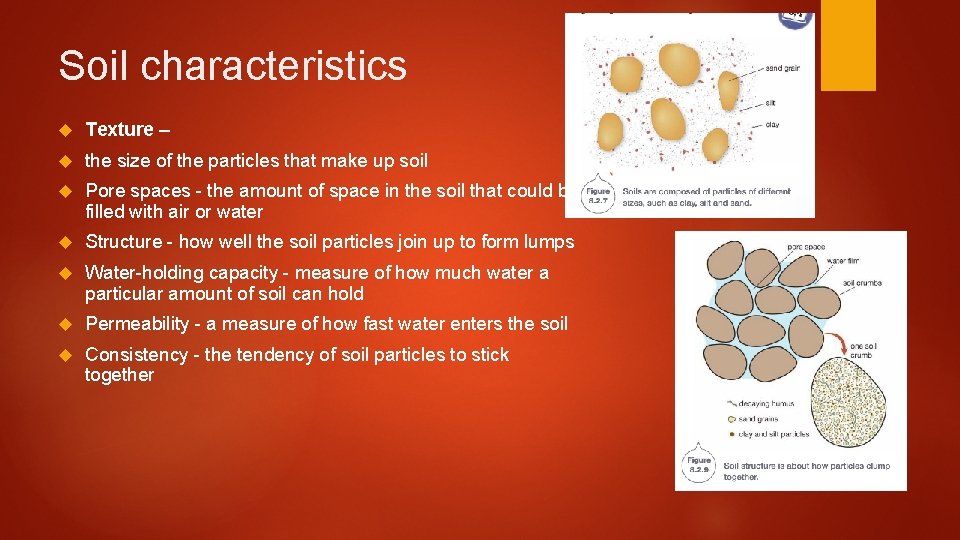 Soil characteristics Texture – the size of the particles that make up soil Pore