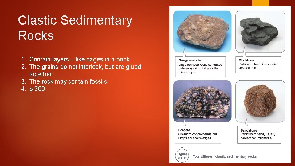 Clastic Sedimentary Rocks 1. Contain layers – like pages in a book 2. The