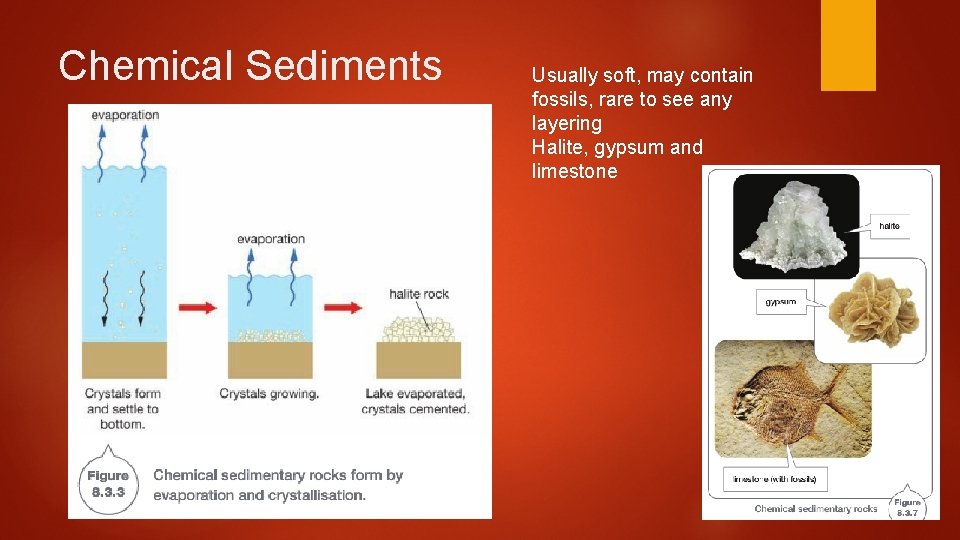 Chemical Sediments Usually soft, may contain fossils, rare to see any layering Halite, gypsum