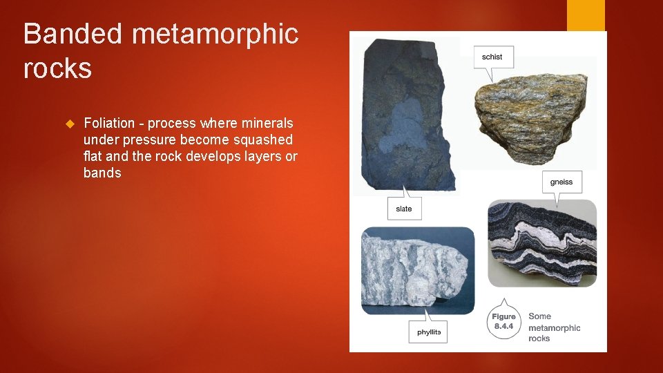 Banded metamorphic rocks Foliation - process where minerals under pressure become squashed flat and