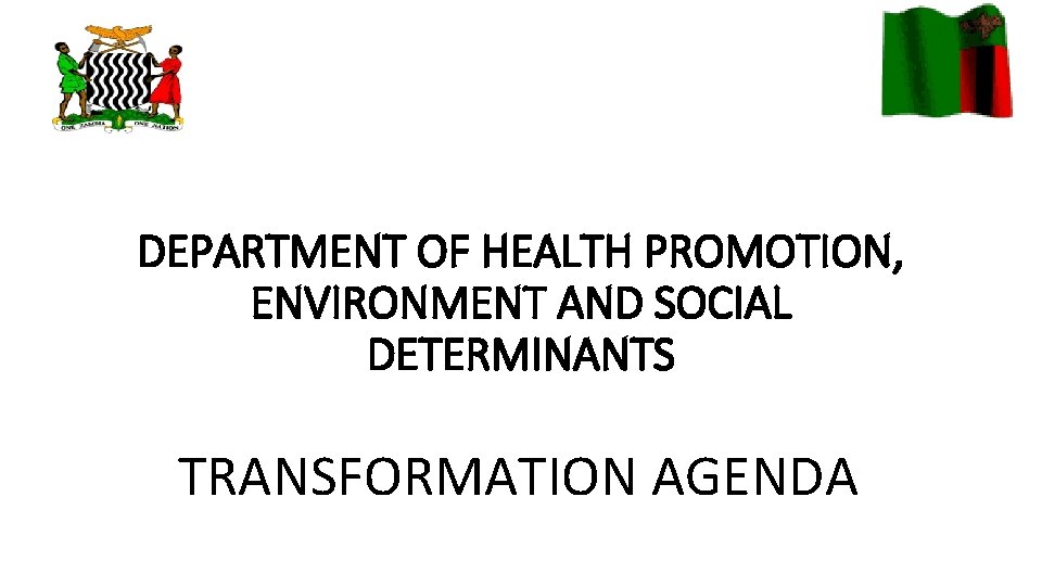 DEPARTMENT OF HEALTH PROMOTION, ENVIRONMENT AND SOCIAL DETERMINANTS TRANSFORMATION AGENDA 