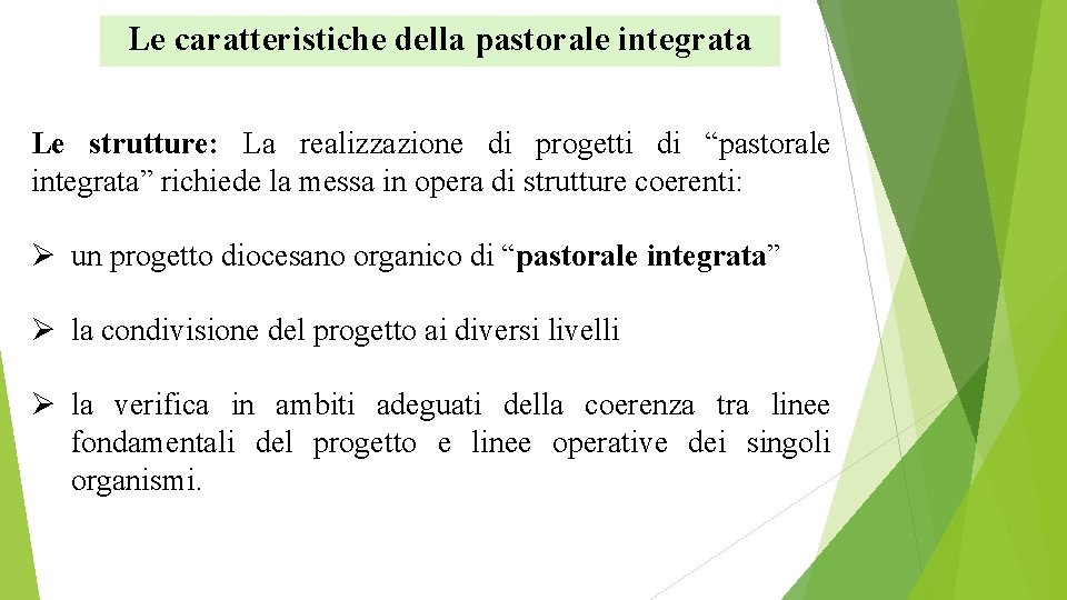 Le caratteristiche della pastorale integrata Le strutture: La realizzazione di progetti di “pastorale integrata”