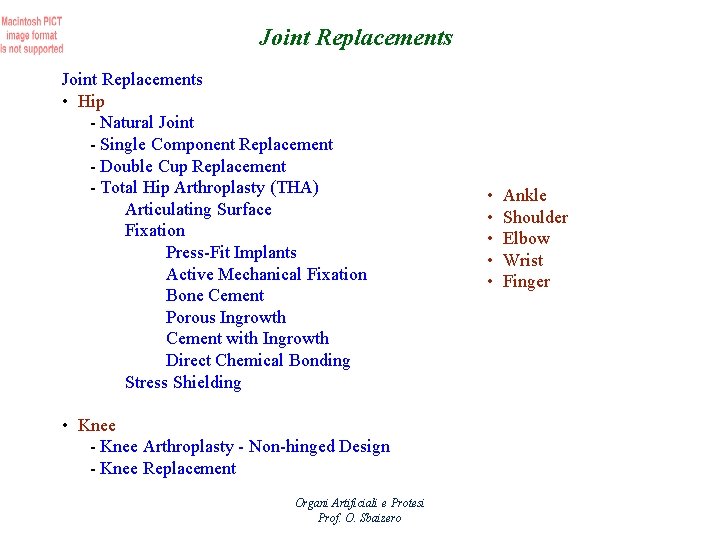 Joint Replacements • Hip - Natural Joint - Single Component Replacement - Double Cup