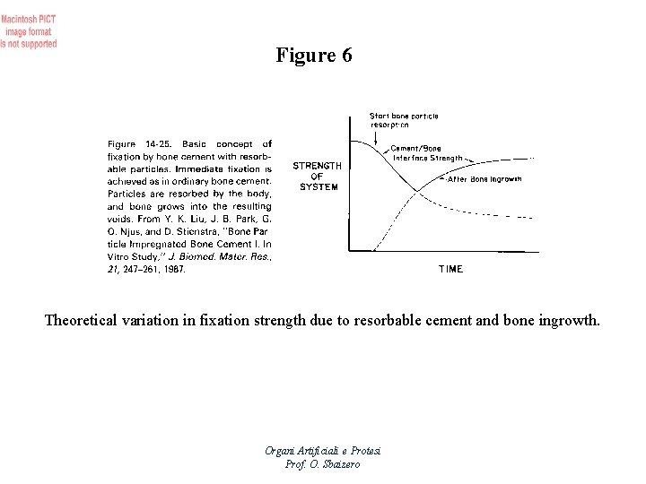 Figure 6 Theoretical variation in fixation strength due to resorbable cement and bone ingrowth.