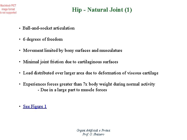 Hip - Natural Joint (1) • Ball-and-socket articulation • 6 degrees of freedom •