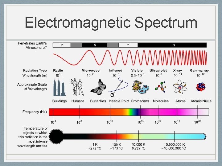 Electromagnetic Spectrum 