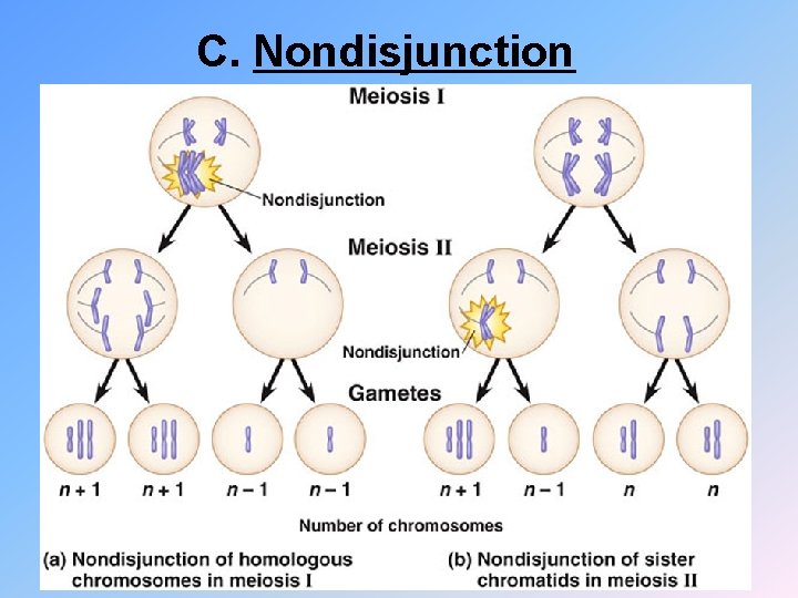 C. Nondisjunction 