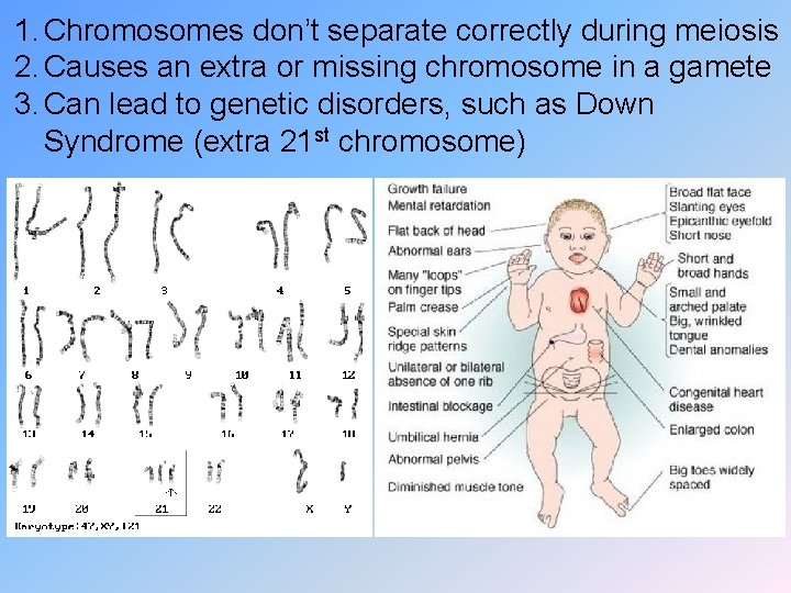 1. Chromosomes don’t separate correctly during meiosis 2. Causes an extra or missing chromosome