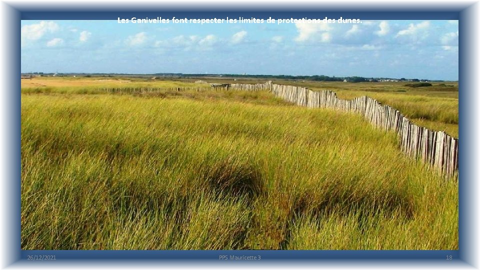 Les Ganivelles font respecter les limites de protections des dunes. 26/12/2021 PPS Mauricette 3