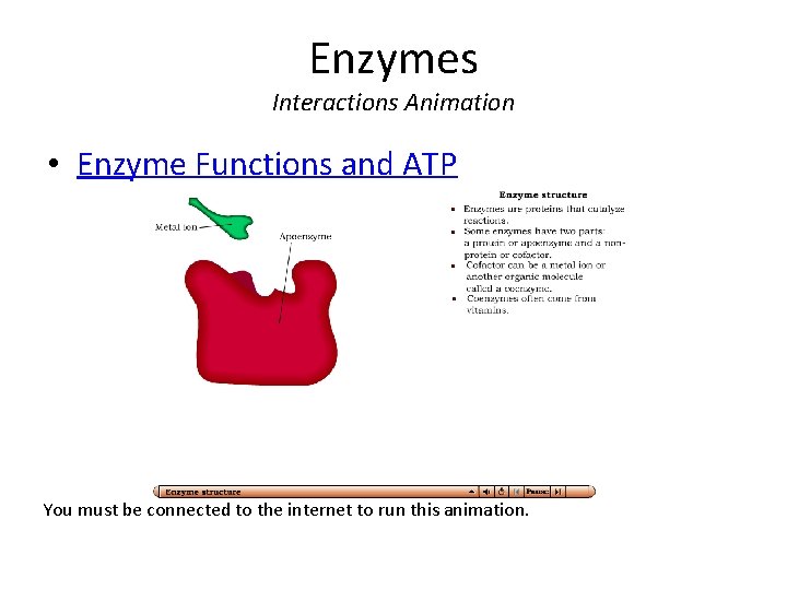 Enzymes Interactions Animation • Enzyme Functions and ATP You must be connected to the Enzymes Interactions Animation • Enzyme Functions and ATP You must be connected to the
