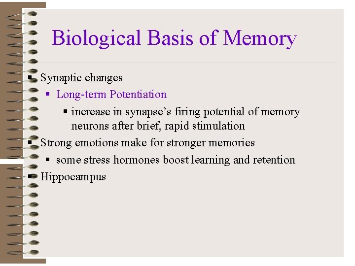 Biological Basis of Memory § Synaptic changes § Long-term Potentiation § increase in synapse’s