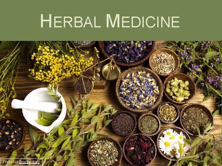 HERBAL MEDICINE Photo via Brackenbury 