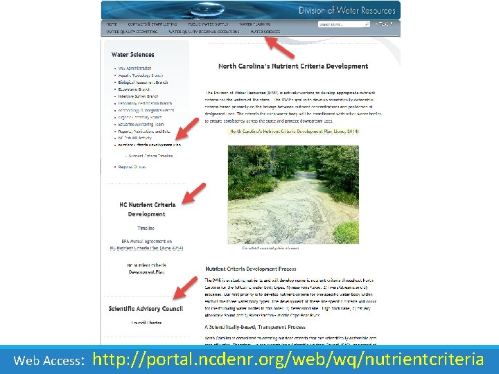 Web Access: http: //portal. ncdenr. org/web/wq/nutrientcriteria 